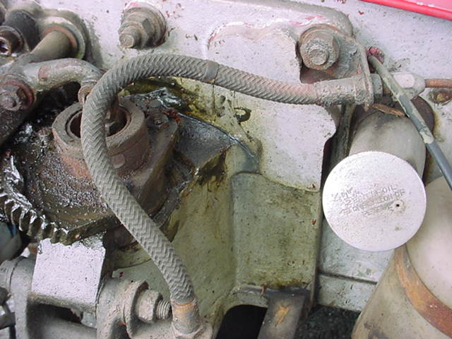 DSC01836.JPG
