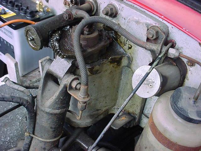 DSC02098.JPG