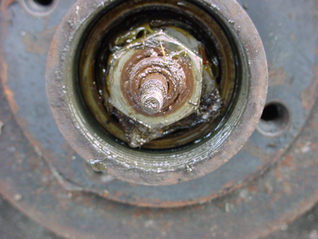DSC02104.JPG