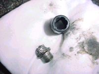 DSC02128_thumb.png