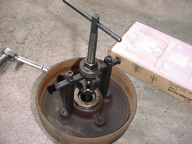 DSC02313.JPG