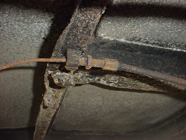 DSC02319.JPG